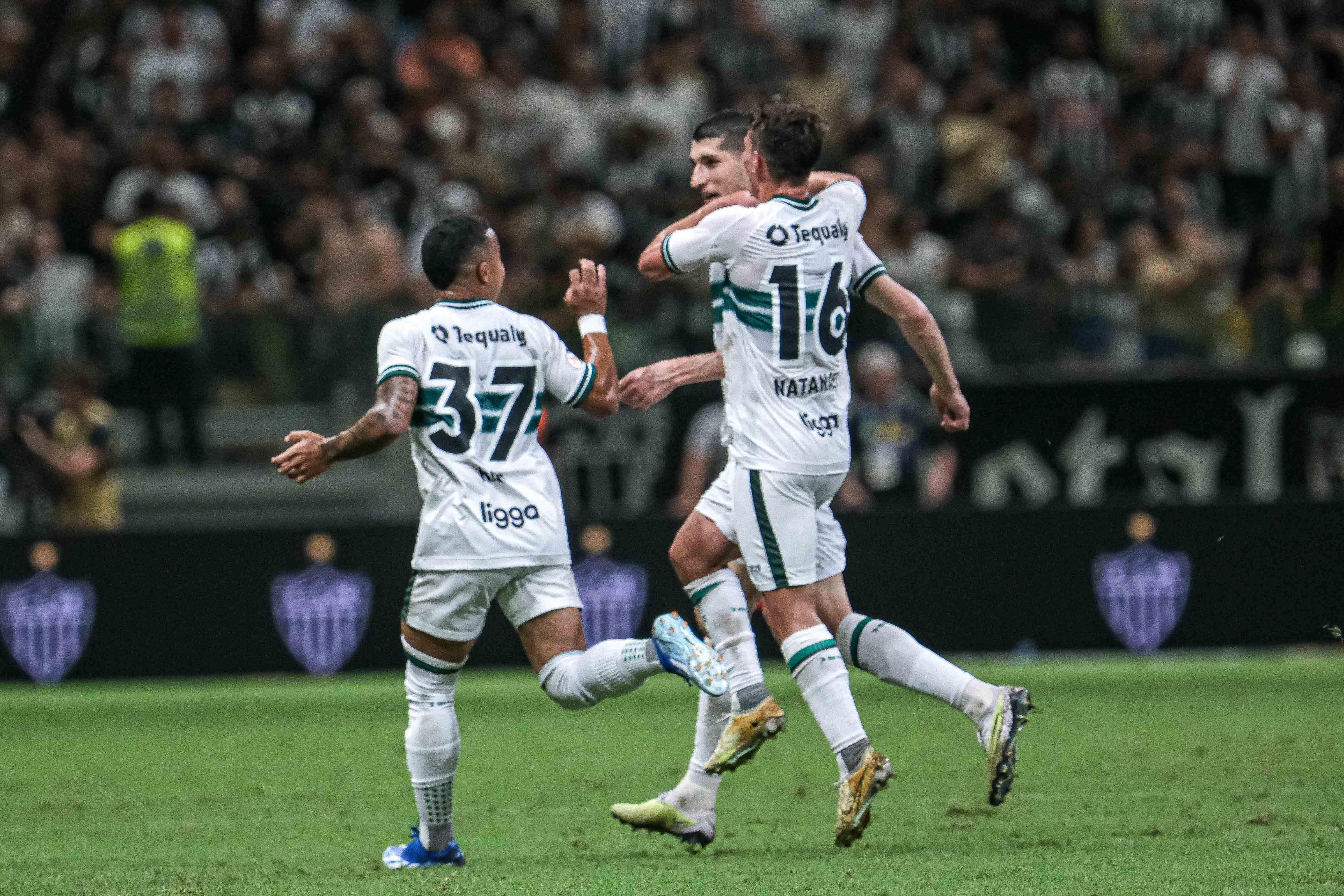 Galeria #CAMxCFC