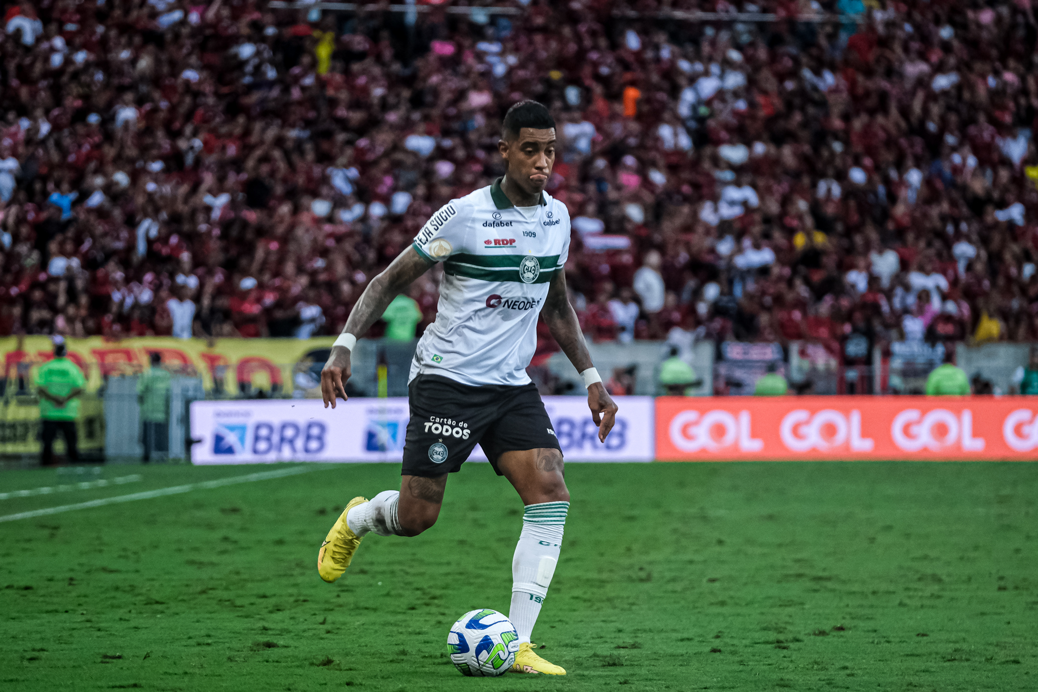 Galeria #FLAxCFC