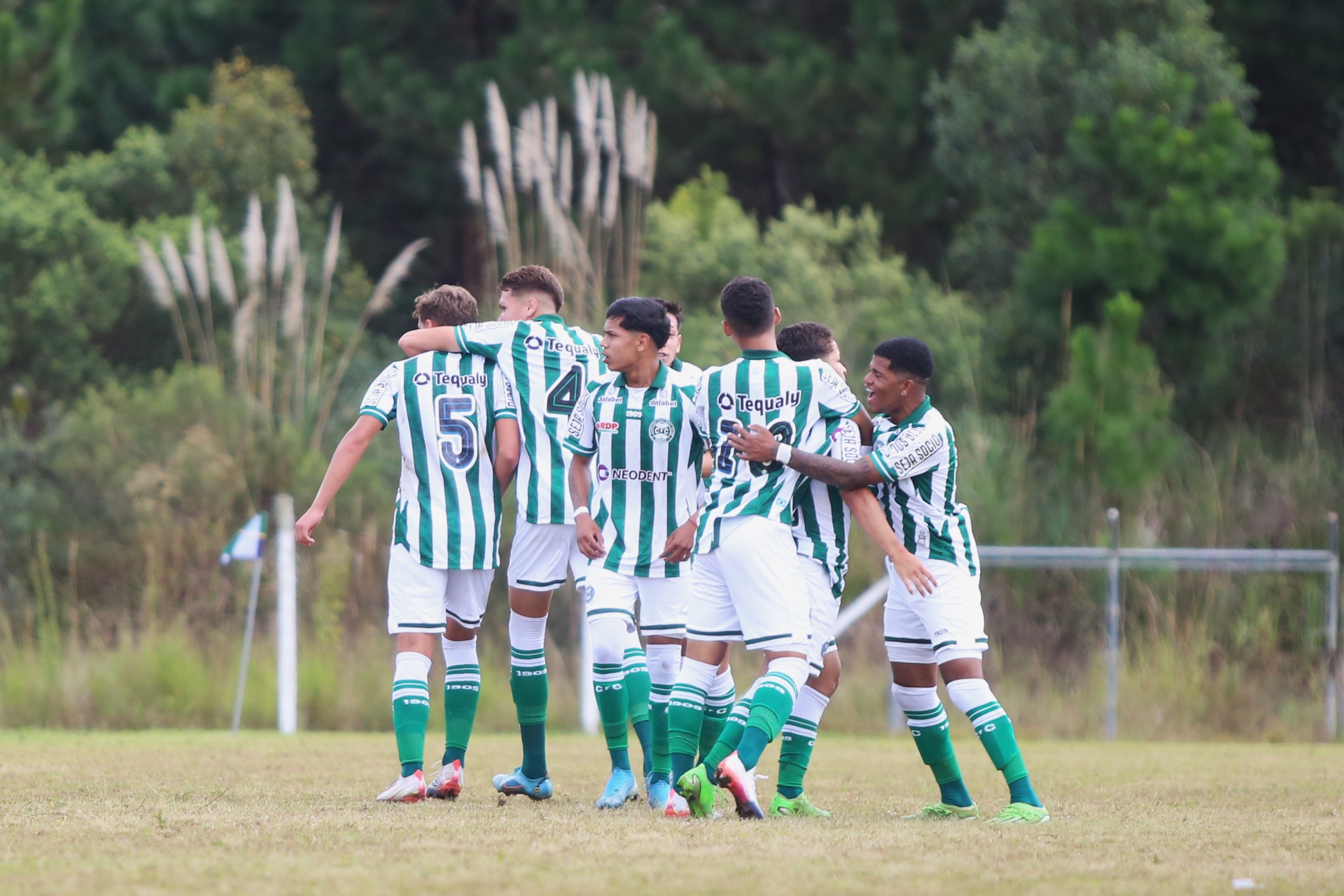 Coritiba encara o Ava� na segunda rodada do Sul-Brasileiro
