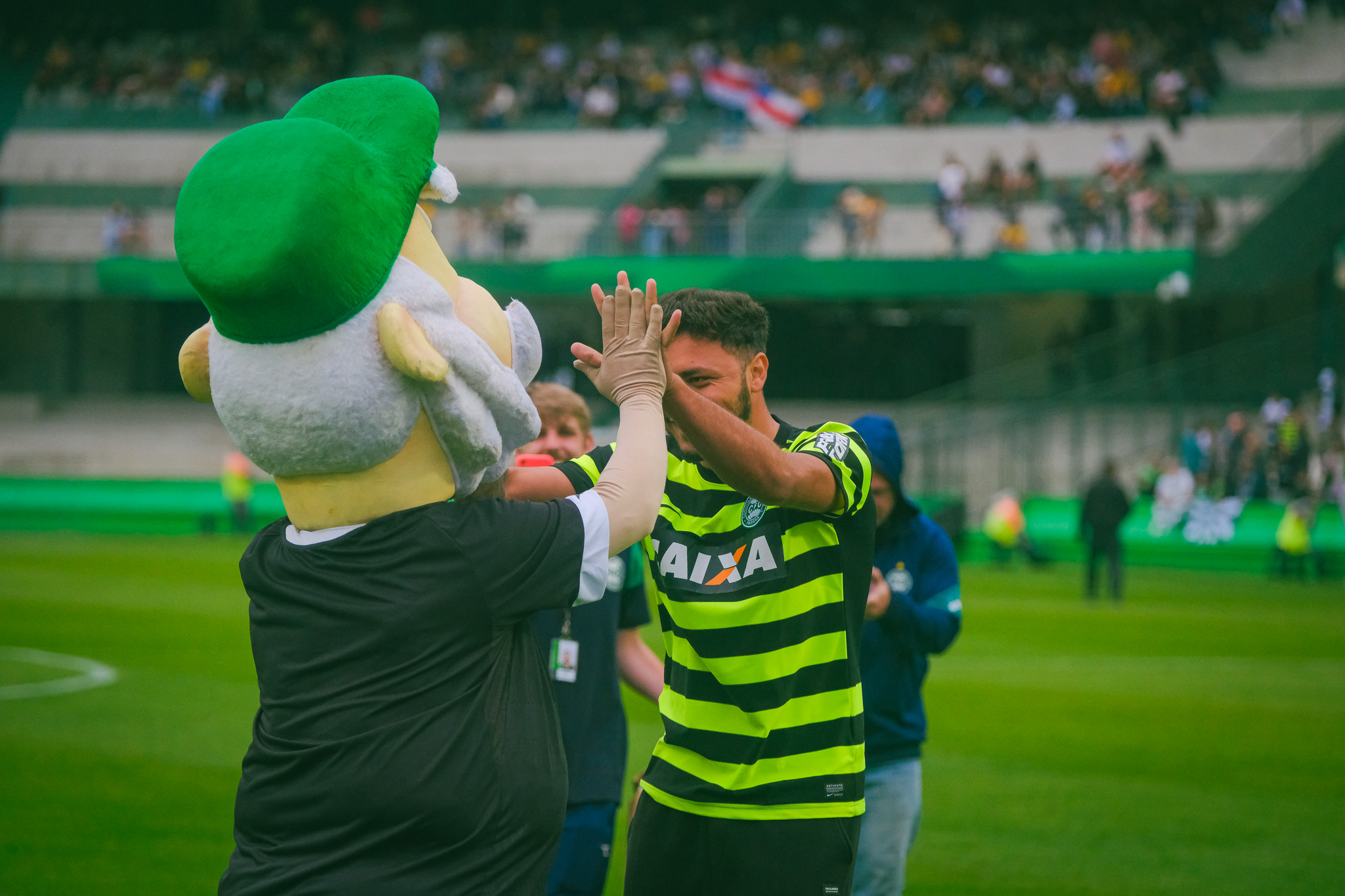 Galeria Desafio do S�cio  #CFCxAMA