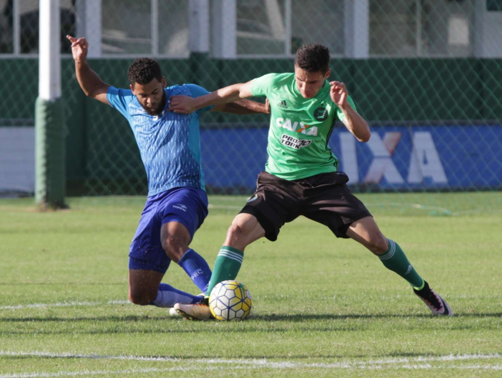 Jogo-treino com Paran� movimenta tarde alviverde