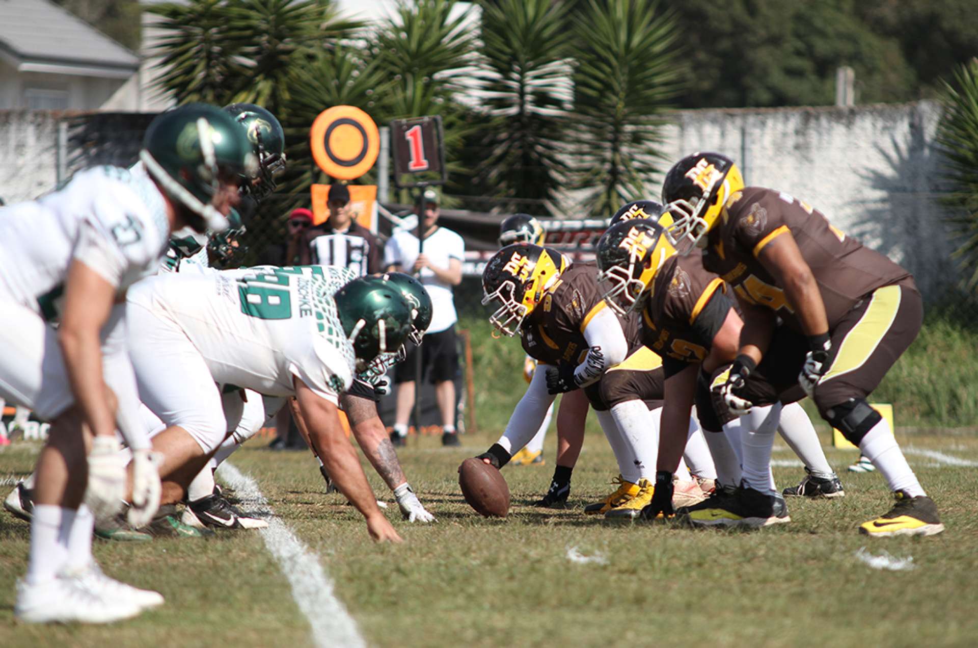 Crocodiles bate Brown Spiders no Brasileiro