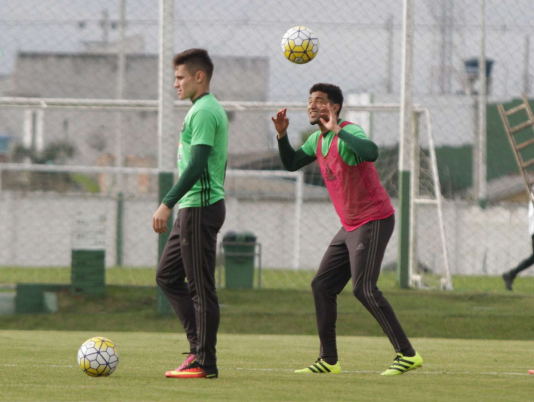 Coxa mant�m prepara��o