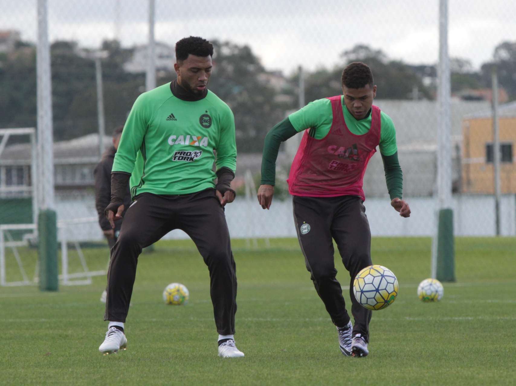 Reapresenta��o alviverde