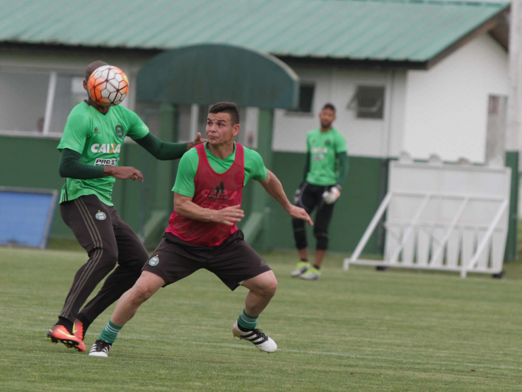 Coxa ter� altera��es na Col�mbia