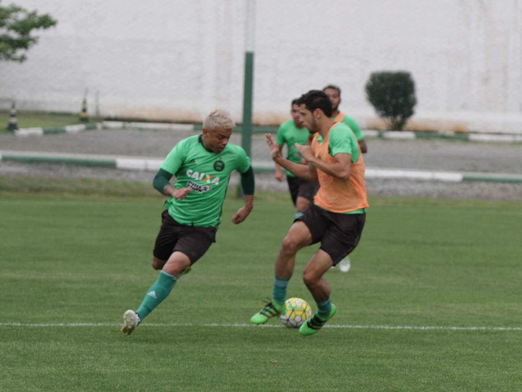 Coxa se reapresenta