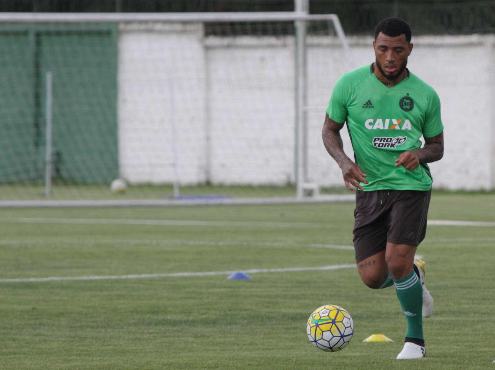 Coxa, Coxa Doido! 