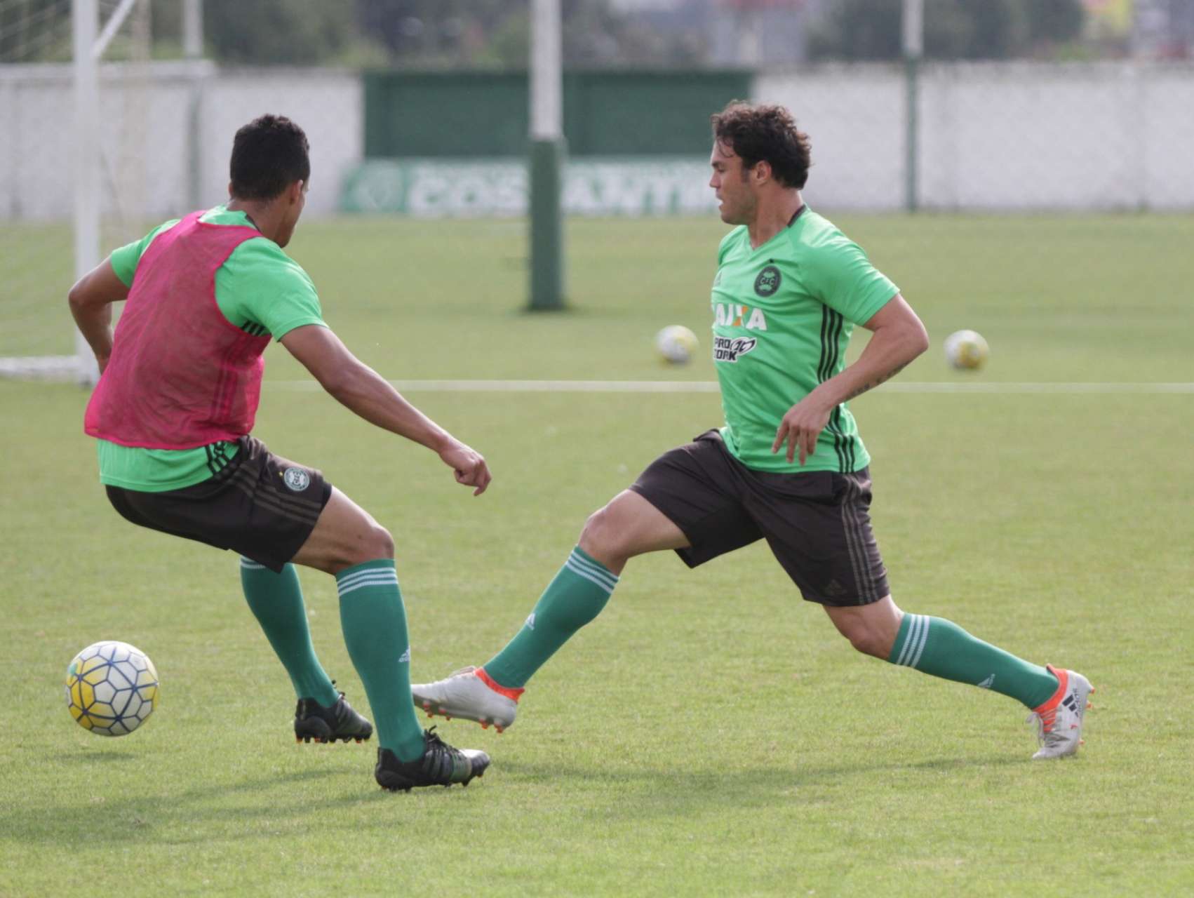 Tarde de reapresenta��o