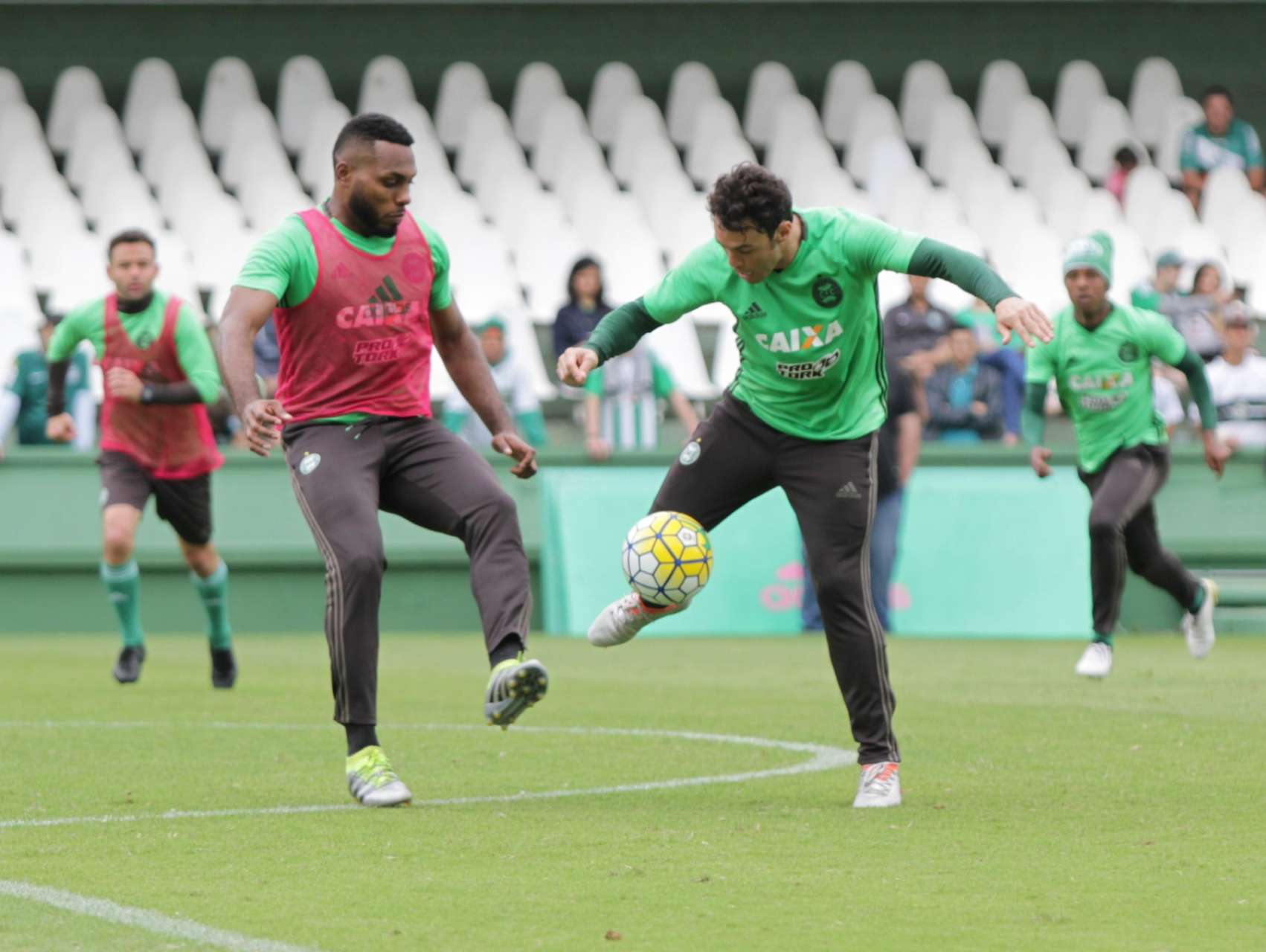 Galeria: treino aberto
