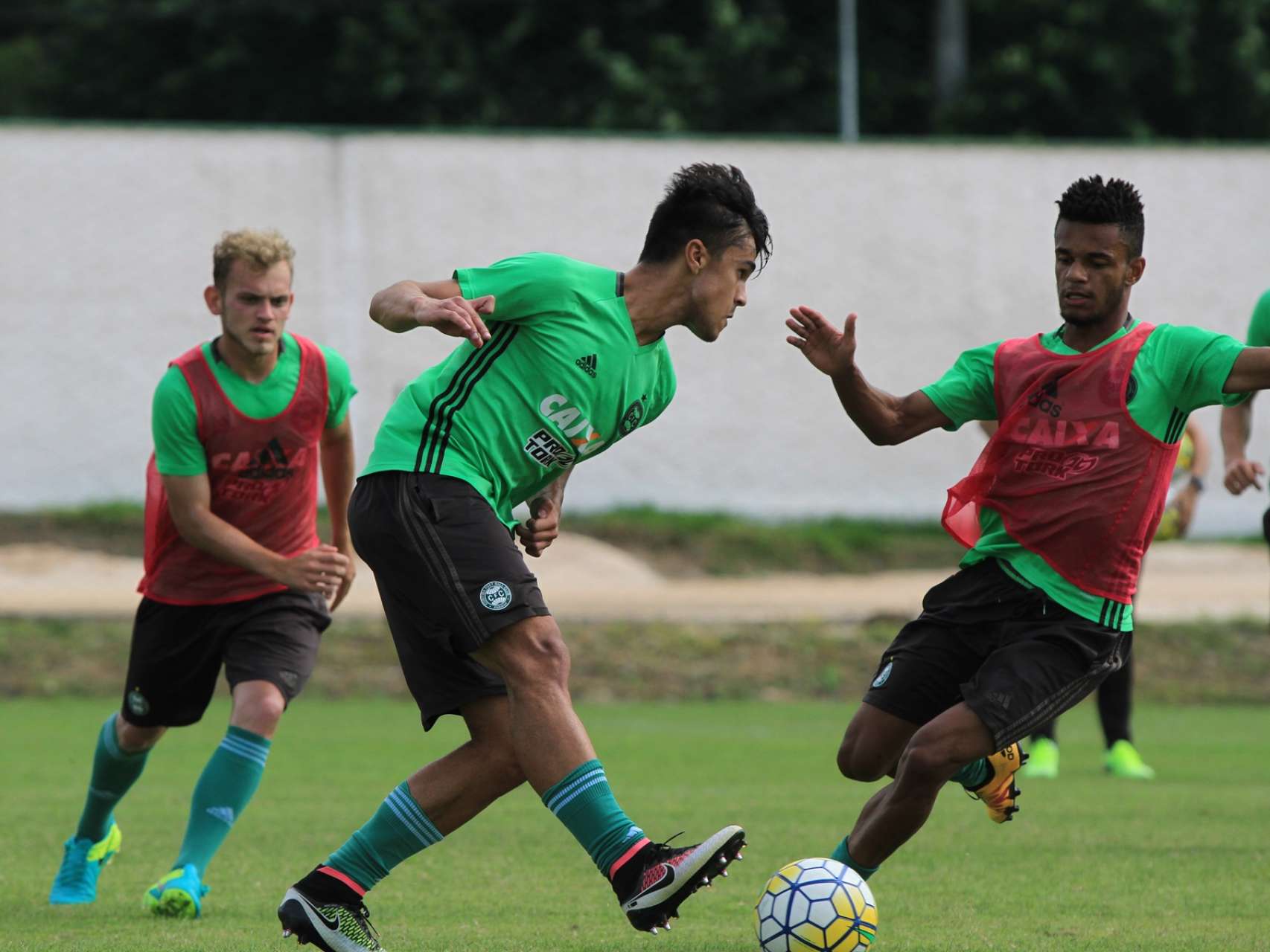 Galeria do treino