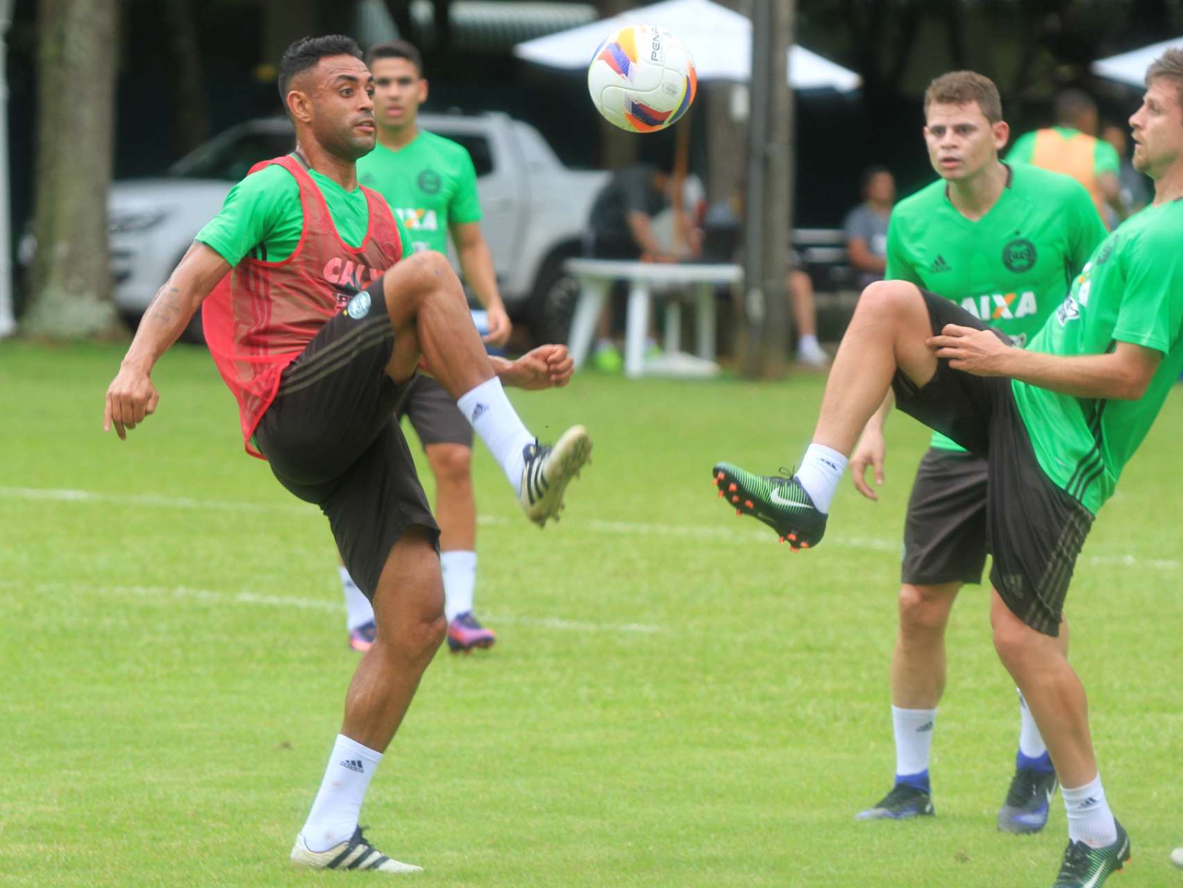 Galeria: primeiro treino em Foz