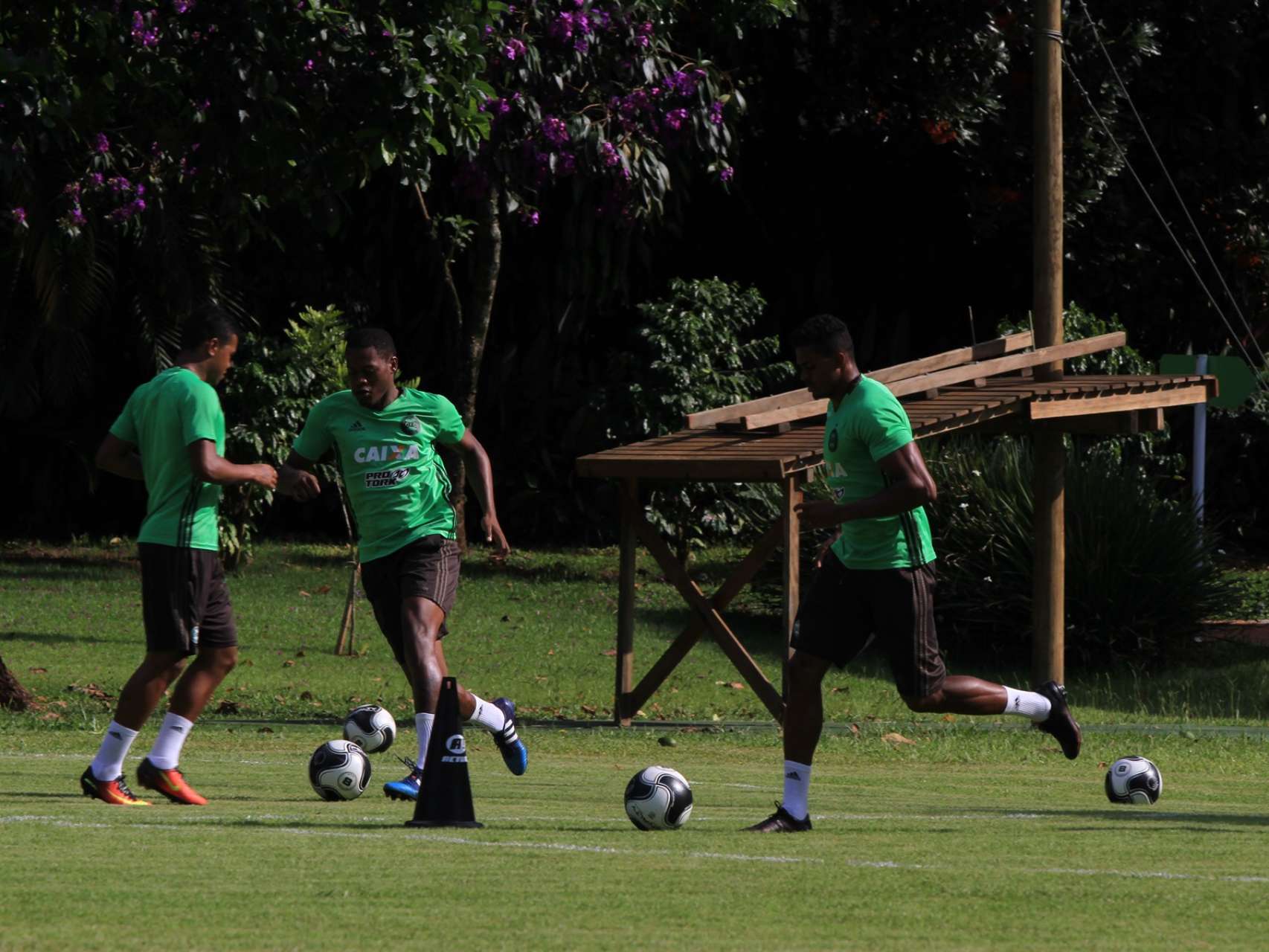 Galeria do treino