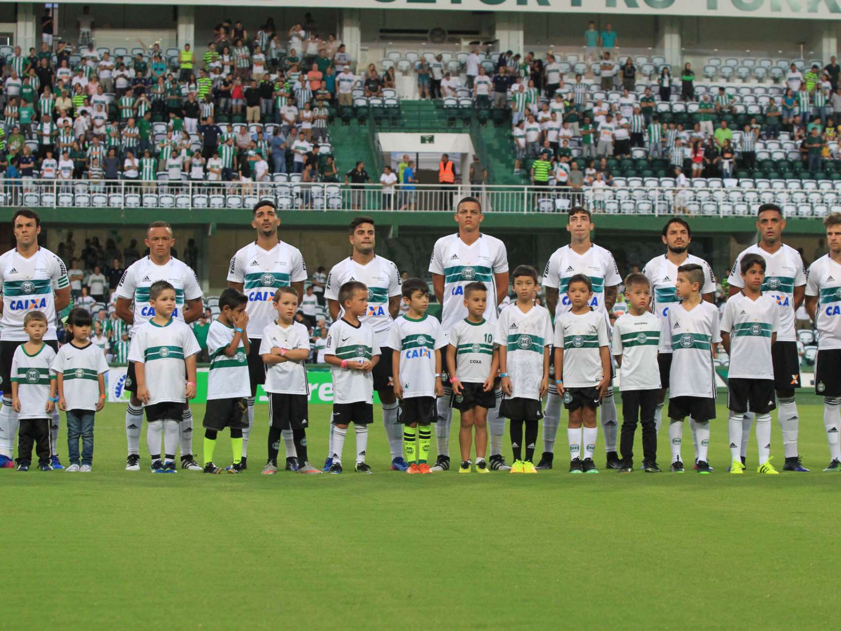 Fotos dos Mascotinhos