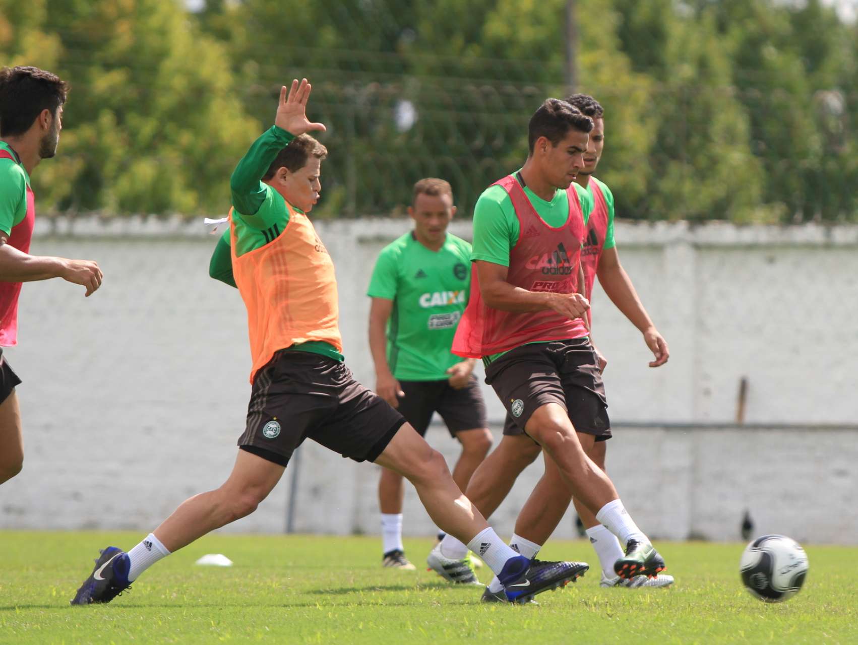 Fotos do treino da tarde