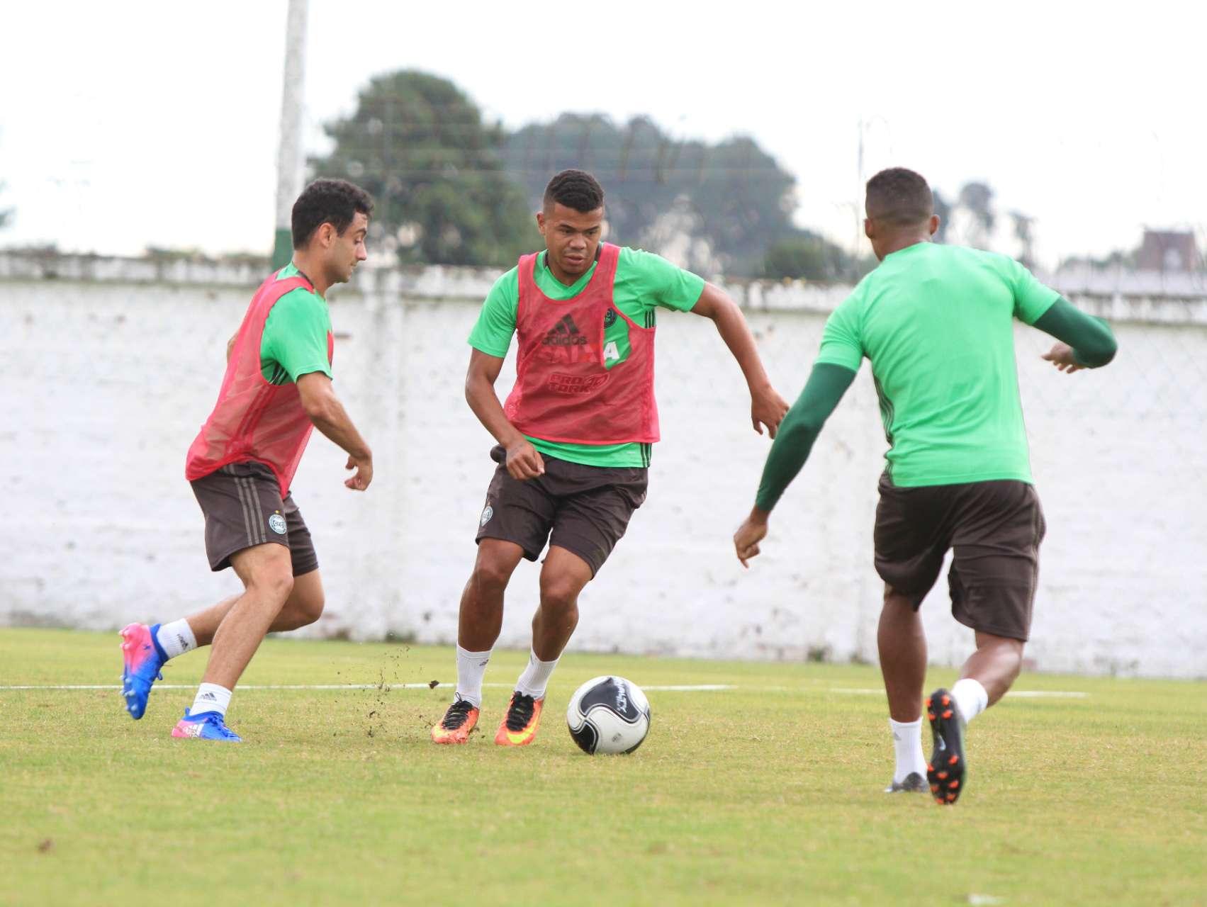 Fotos da reapresenta��o