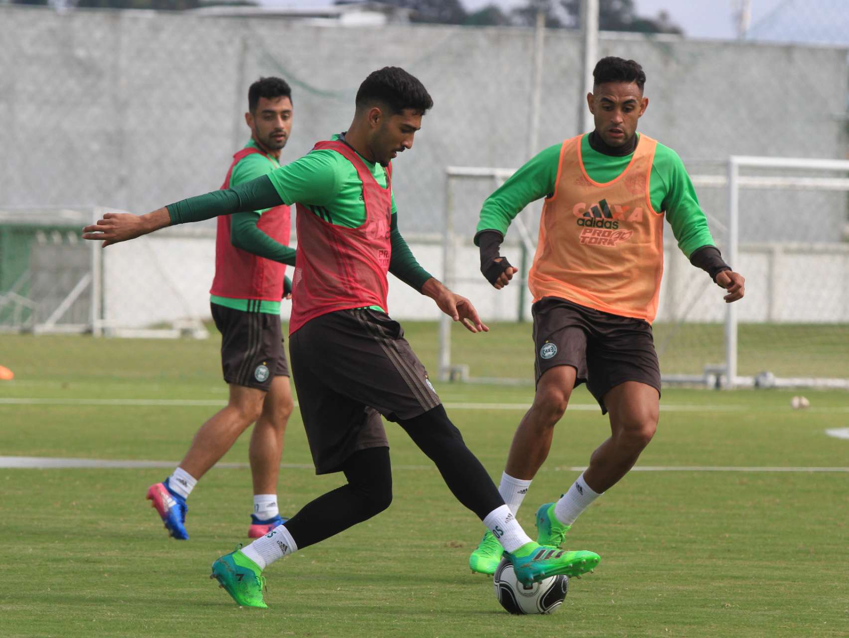 Fotos do treino desta manh�