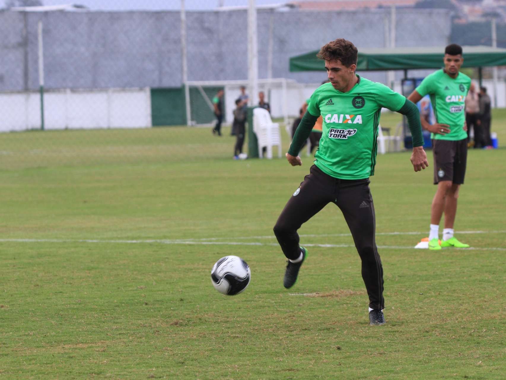 Galeria: prepara��o alviverde