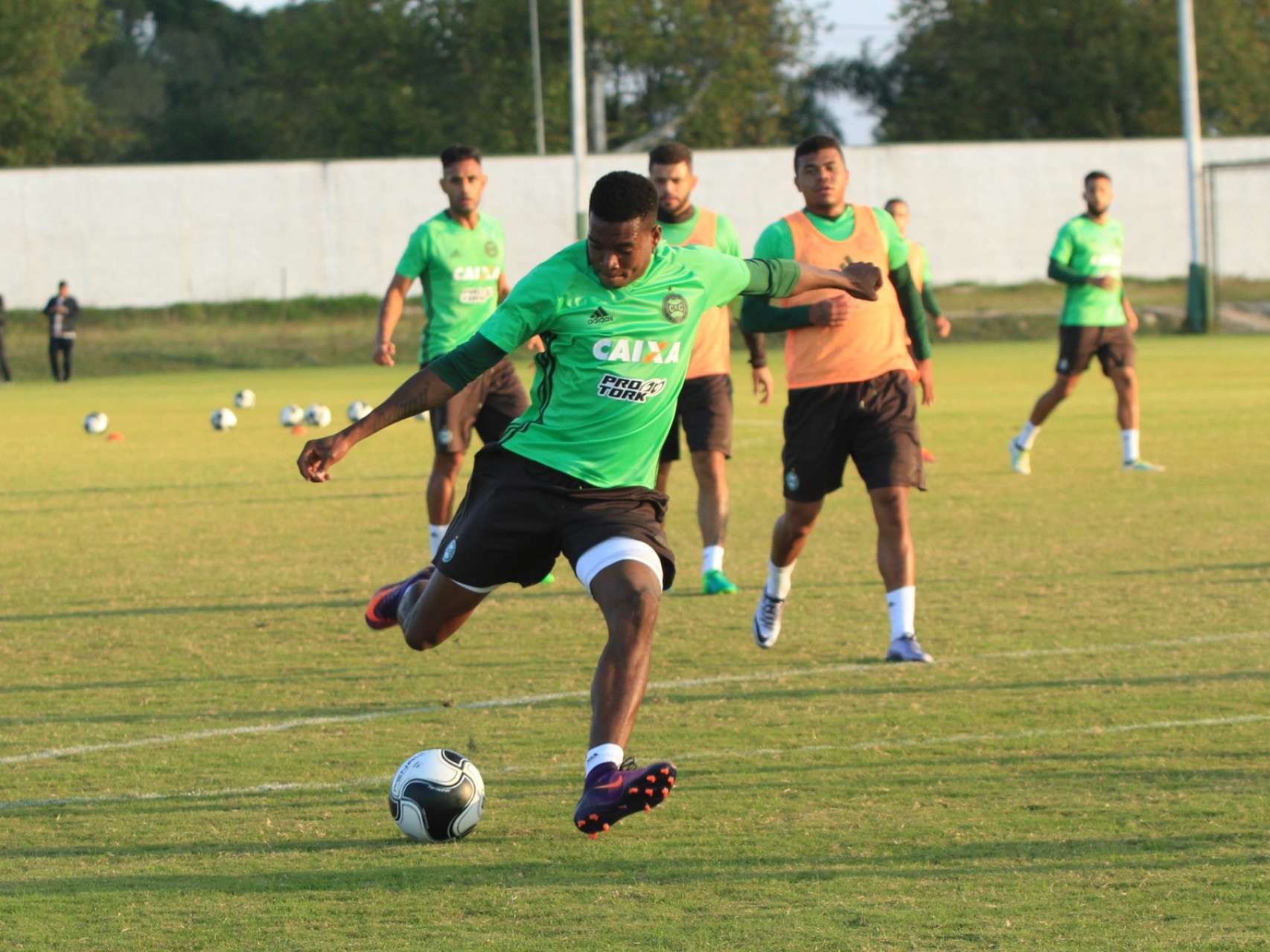 Galeria do primeiro treino 