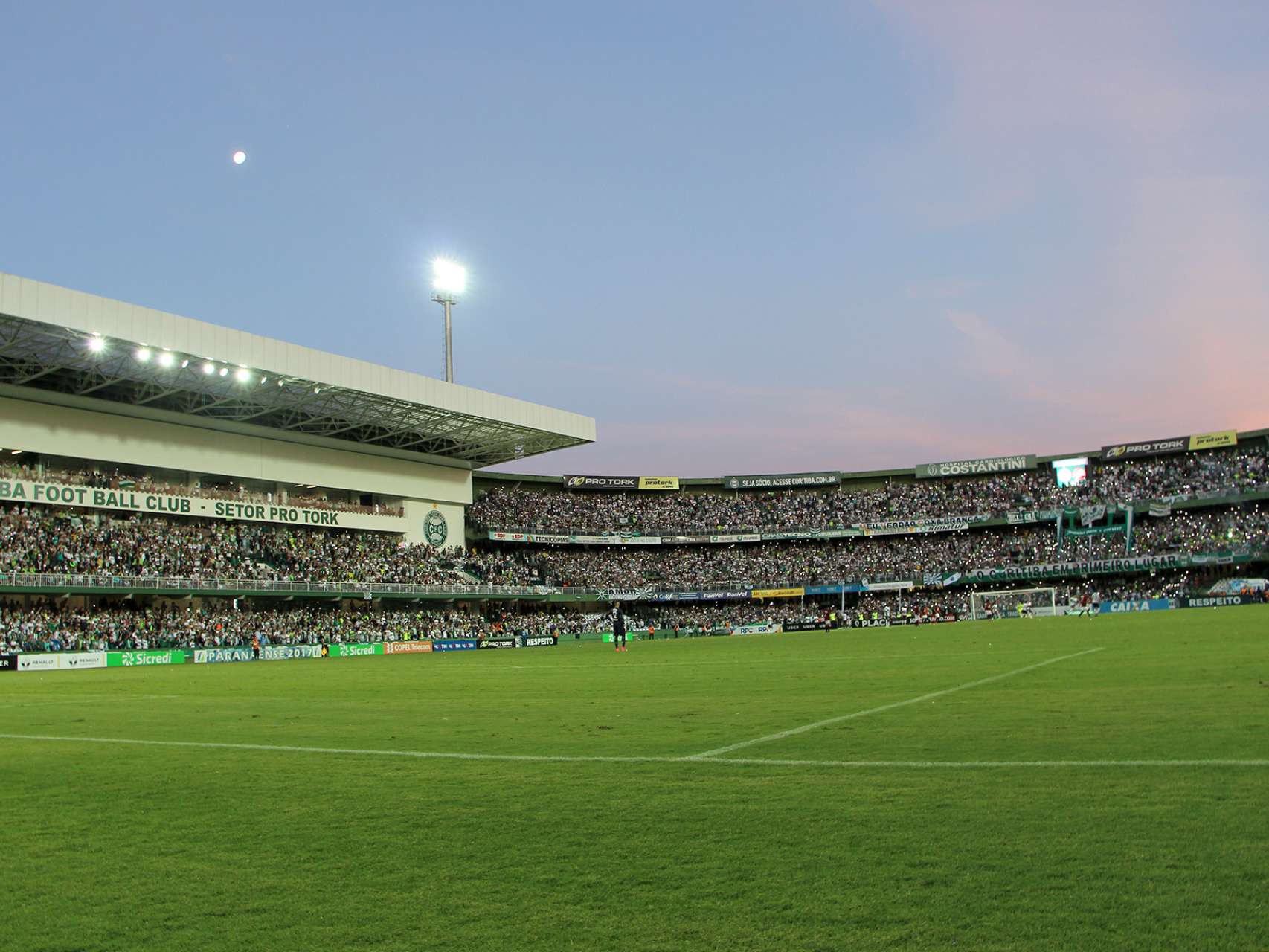 Dia de Couto Pereira