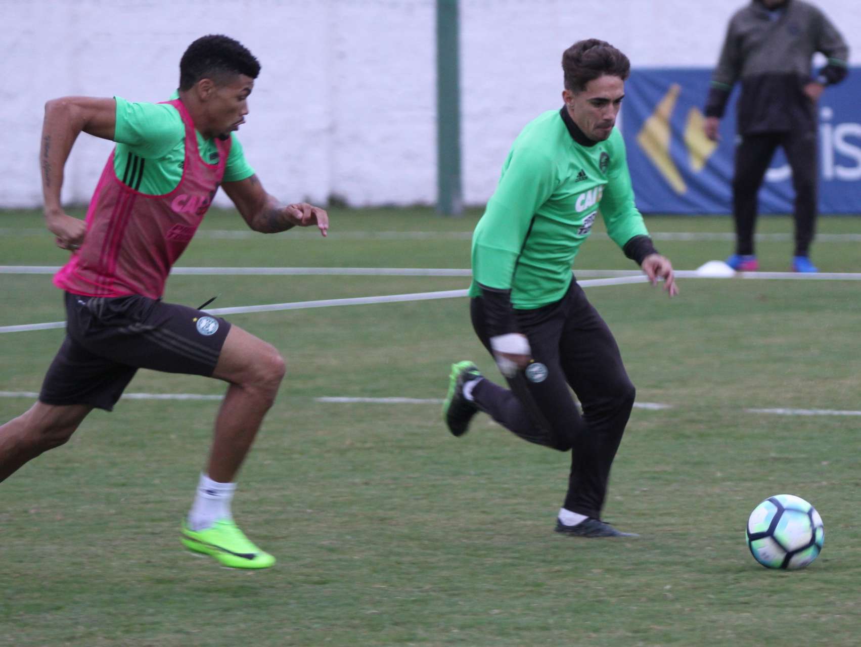 Galeria Coxa: reapresenta��o