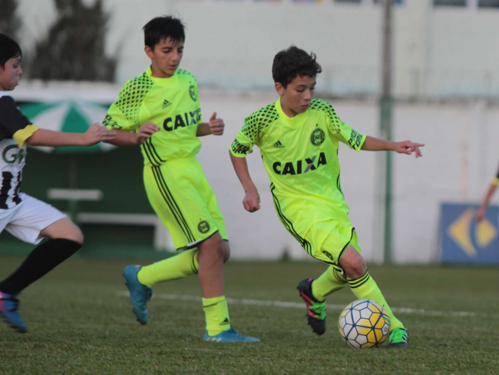 Garotada em campo