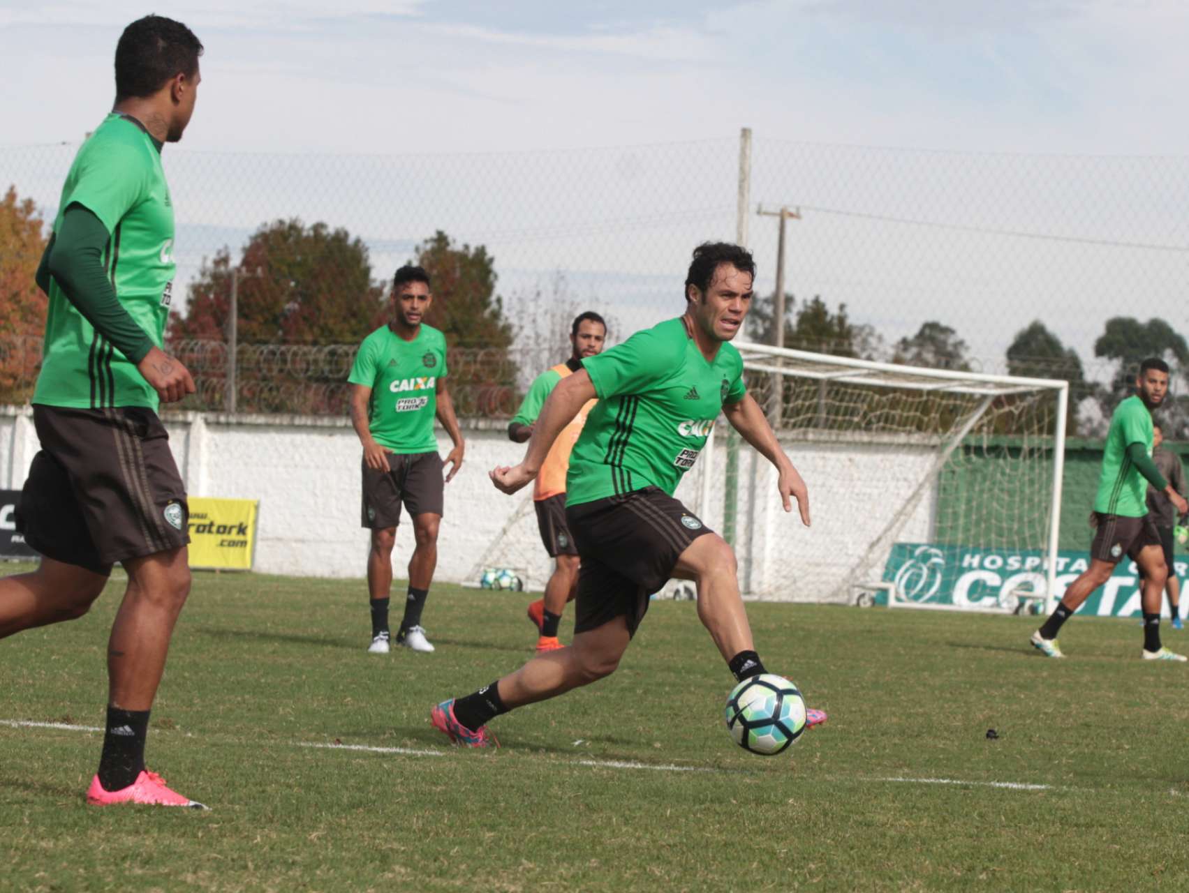 Alviverde segue prepara��o