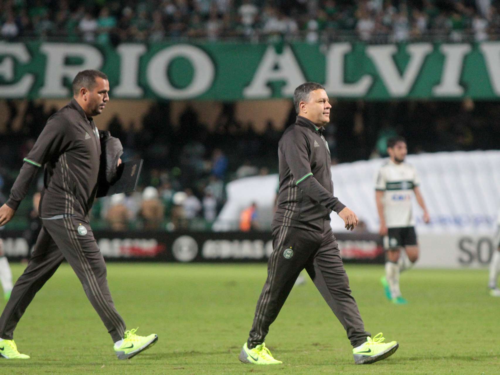 Tranquilidade e intelig�ncia