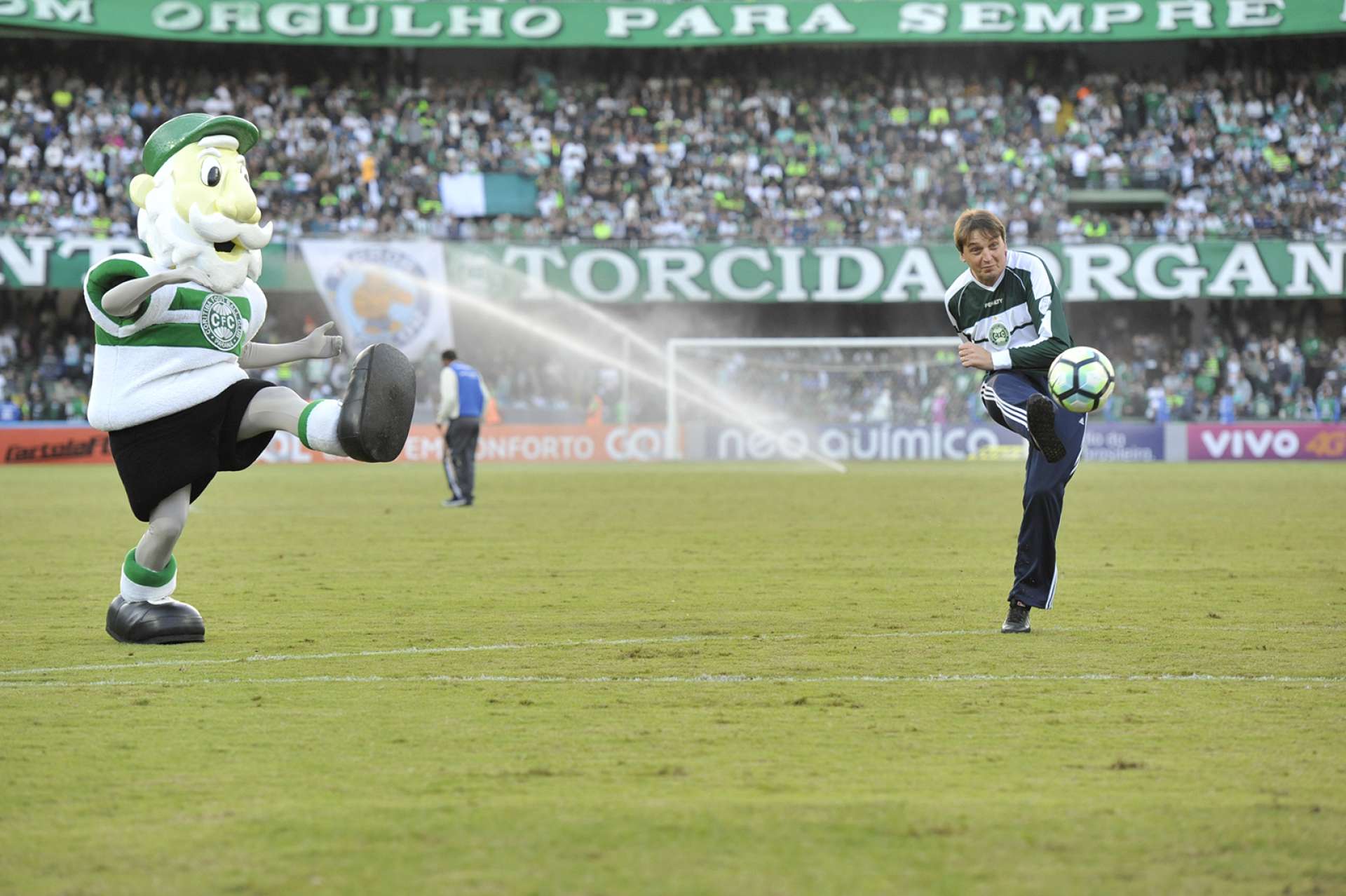 A��es de jogo exclusivas para s�cios