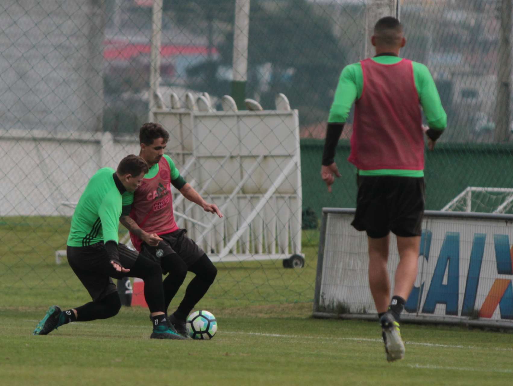 Preparado