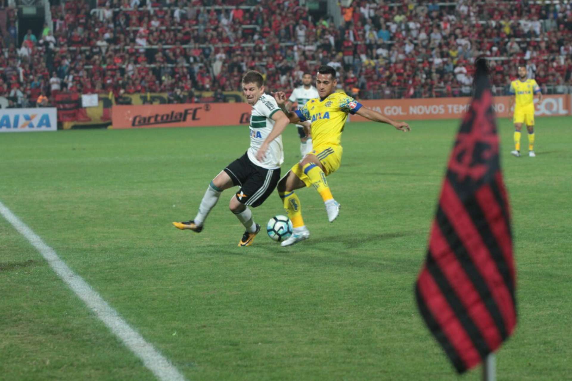 Galeria do jogo 