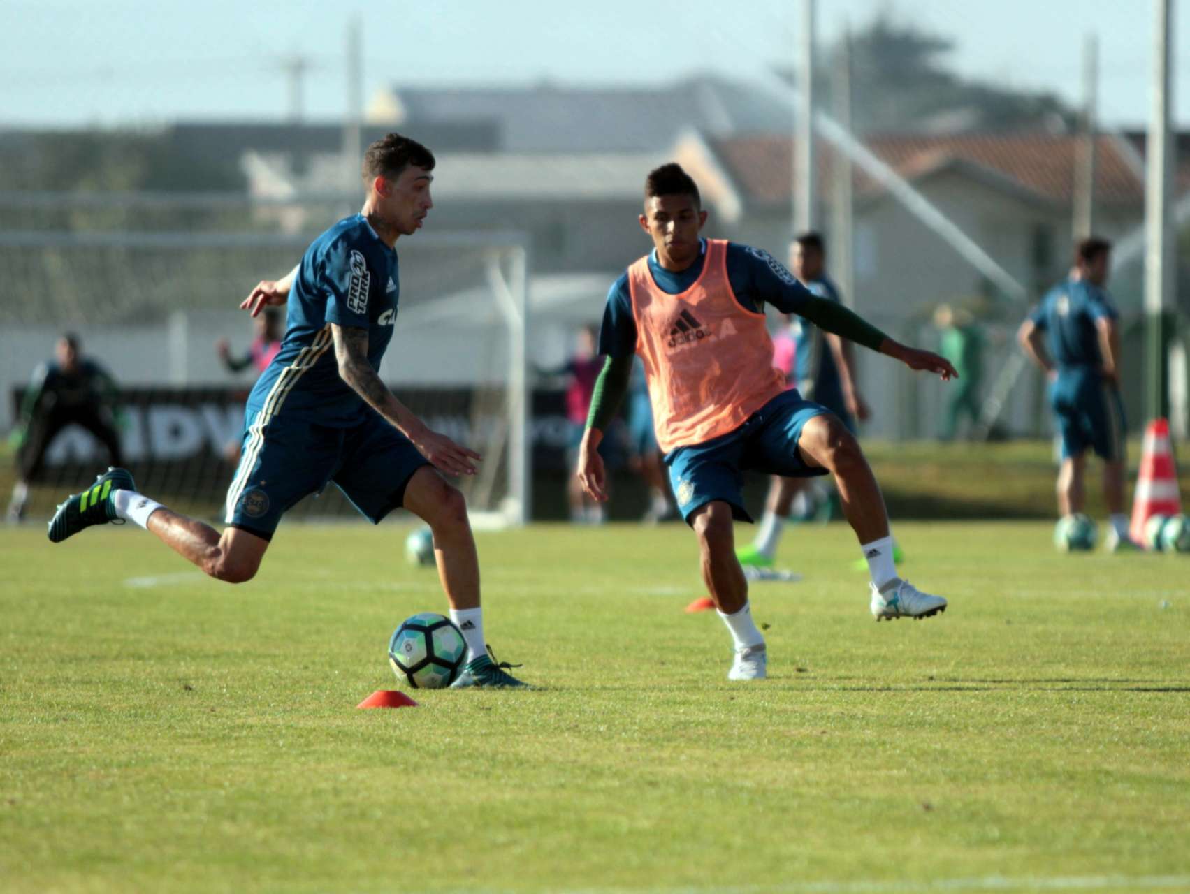 Galeria: treino da tarde
