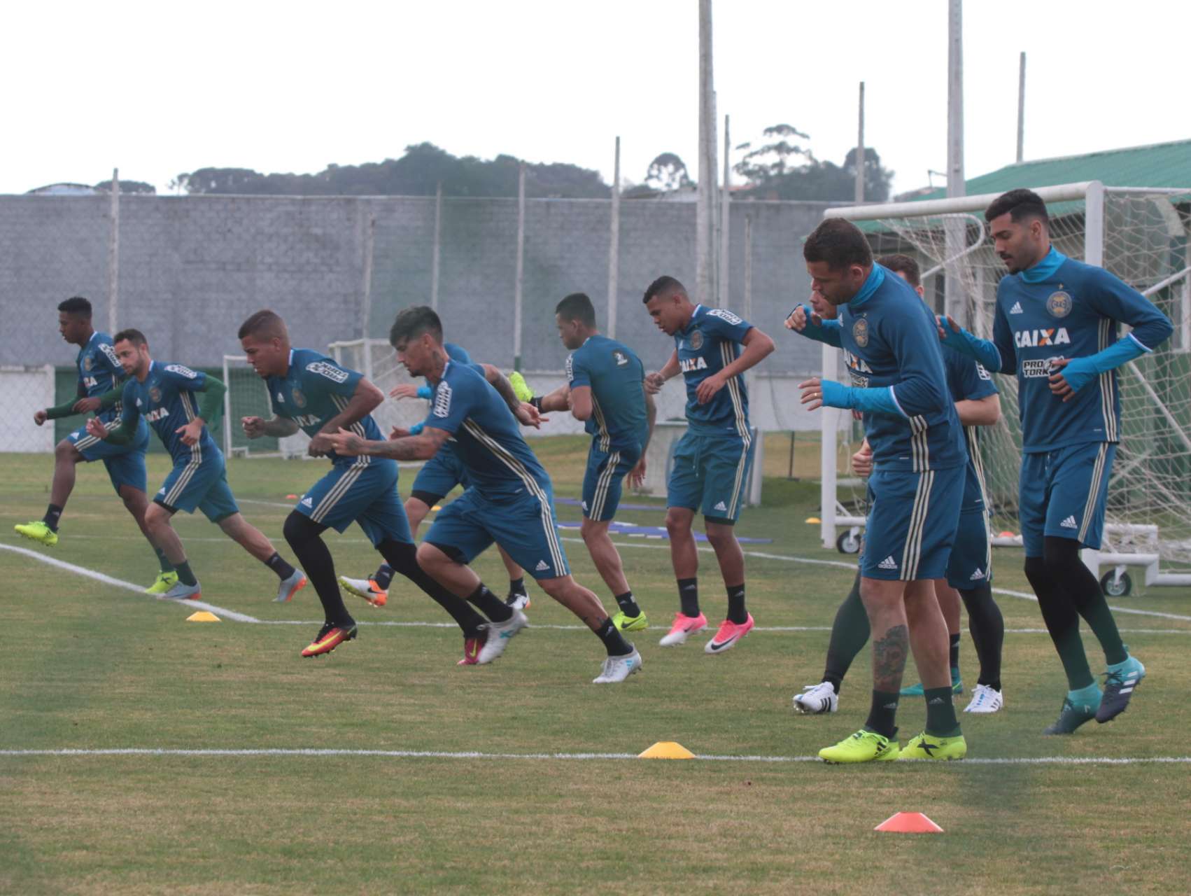 Prepara��o alviverde