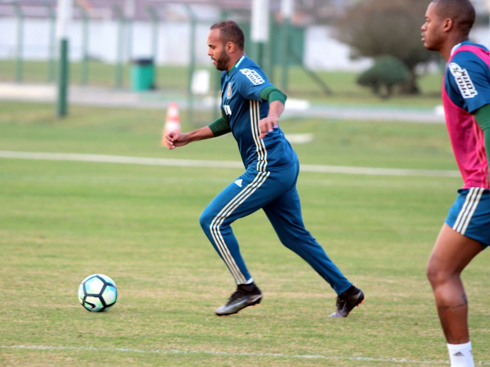 Galeria: prepara��o alviverde