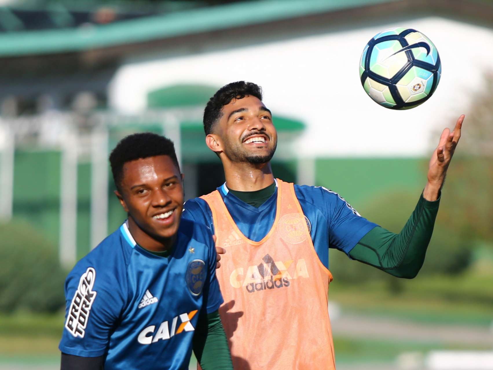 Galeria: prepara��o