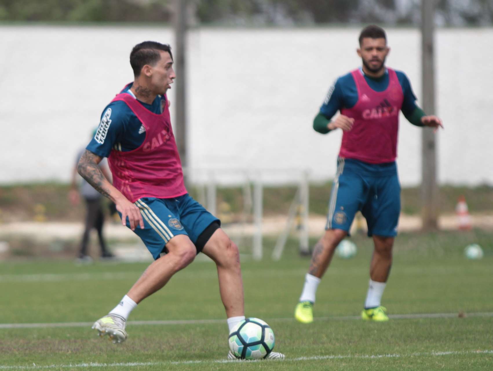 Galeria: preparado