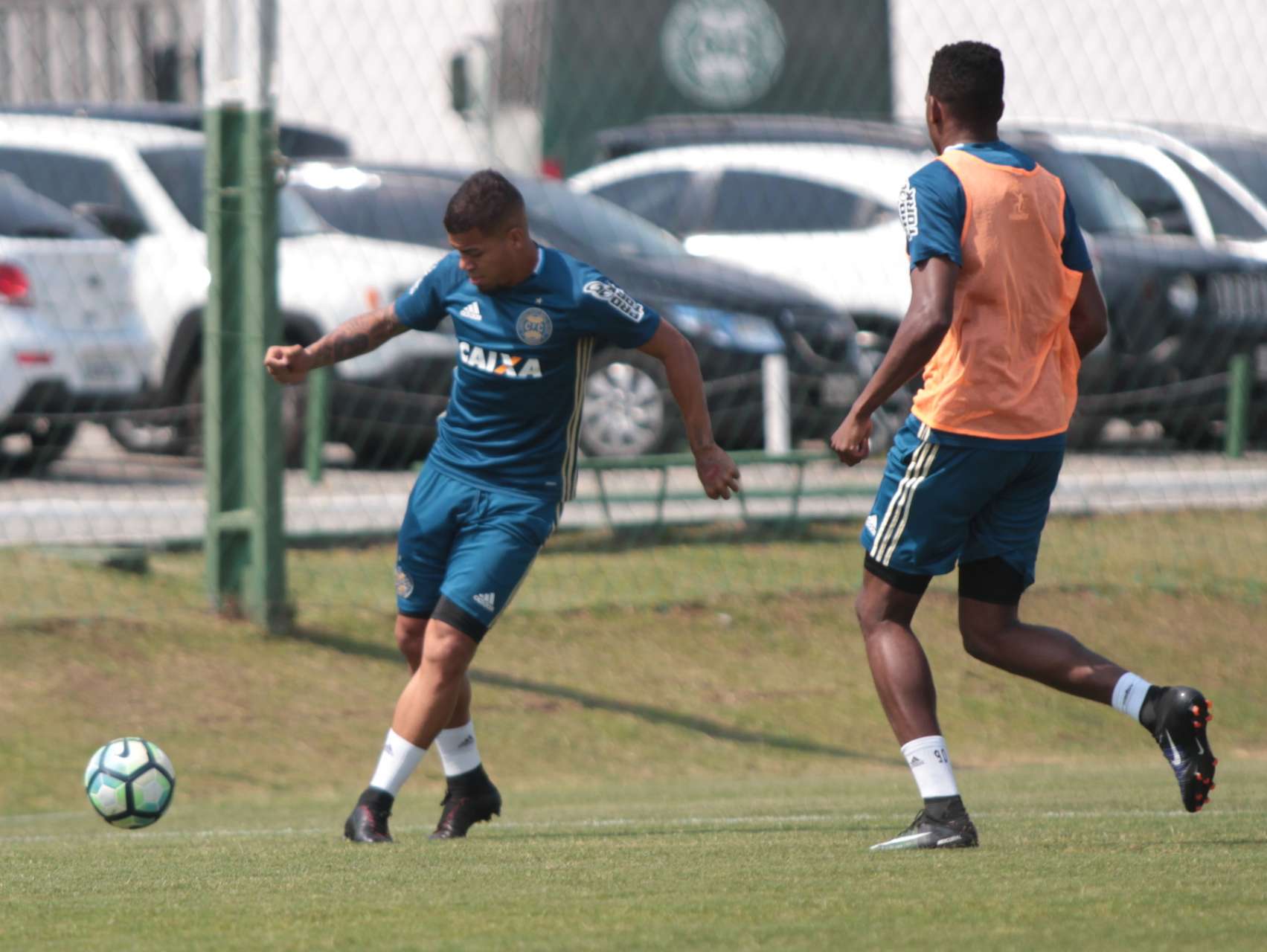 Novidades para pegar o Palmeiras