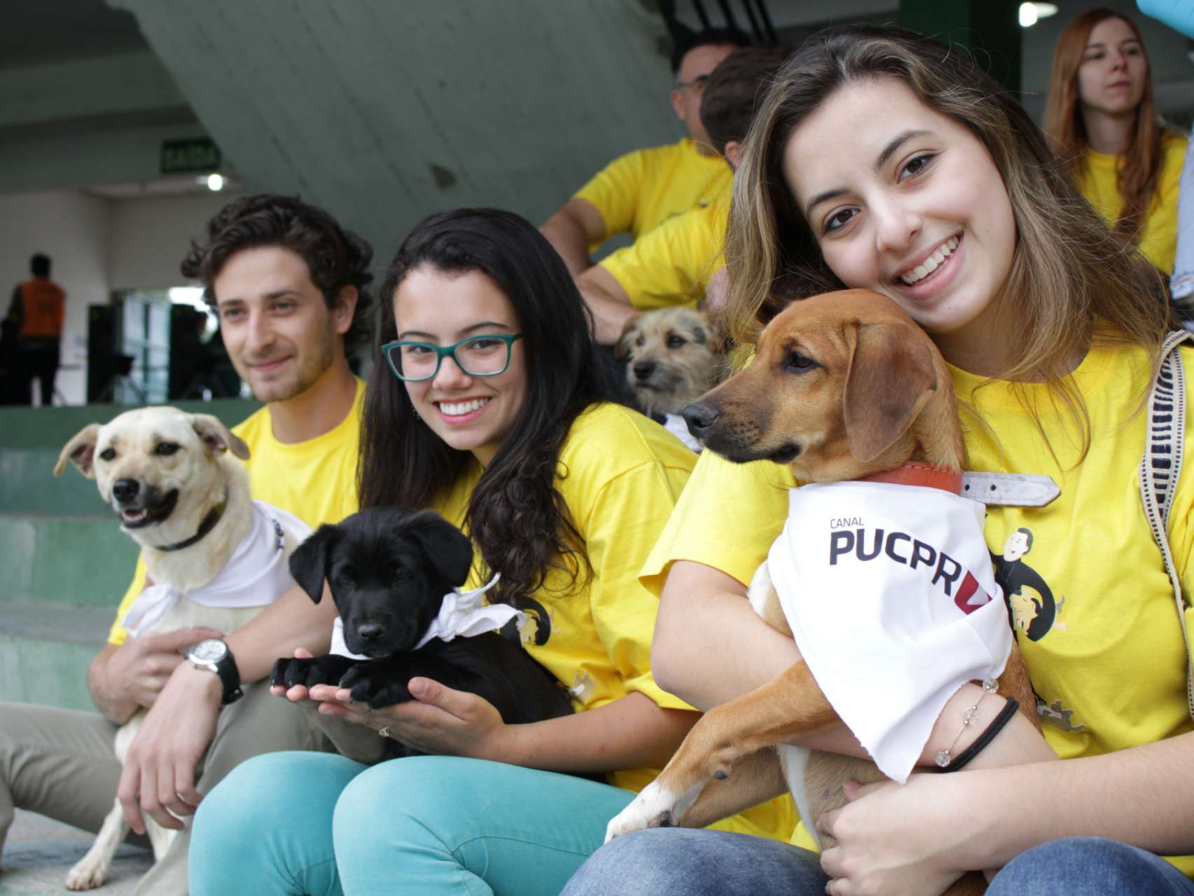 Coxa incentiva ado��o de animais