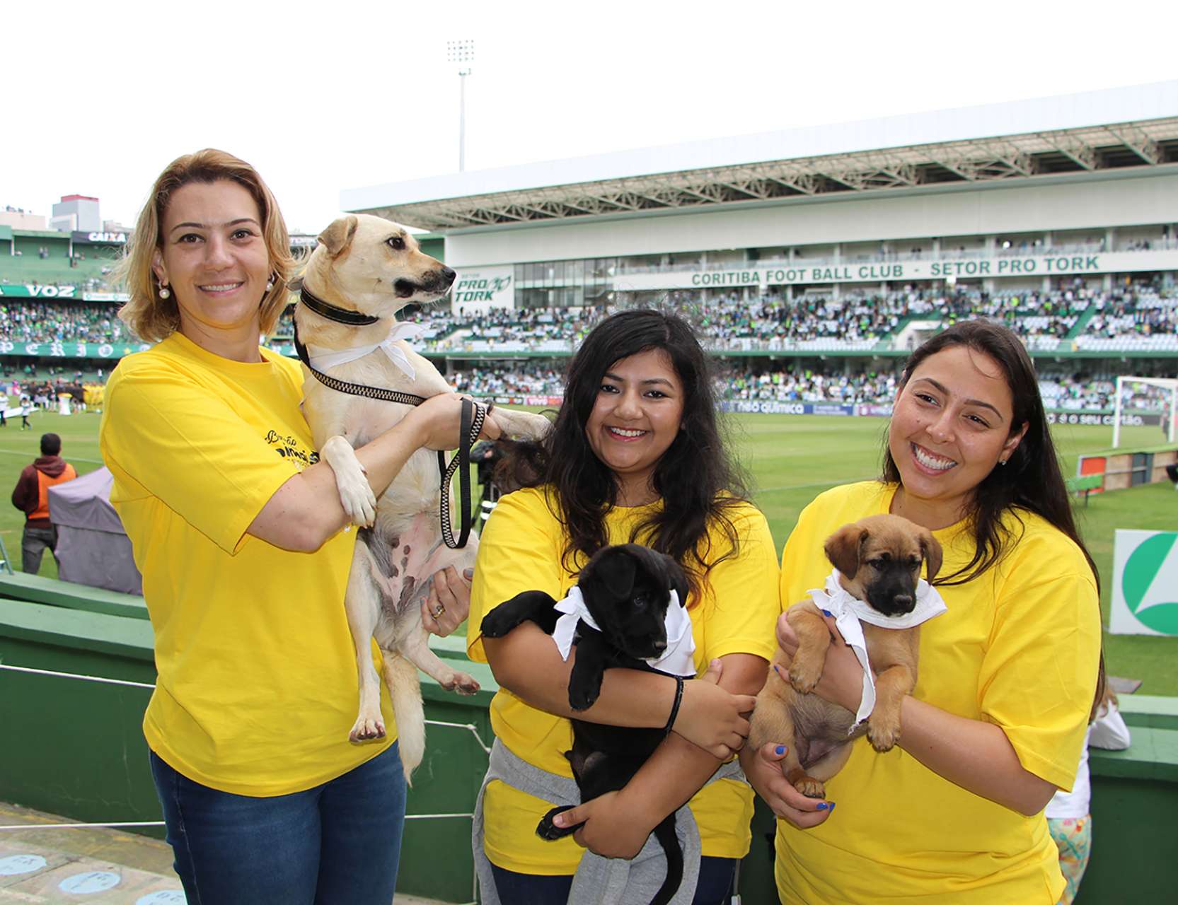 Coritiba Retribui apoia ado��o de animais