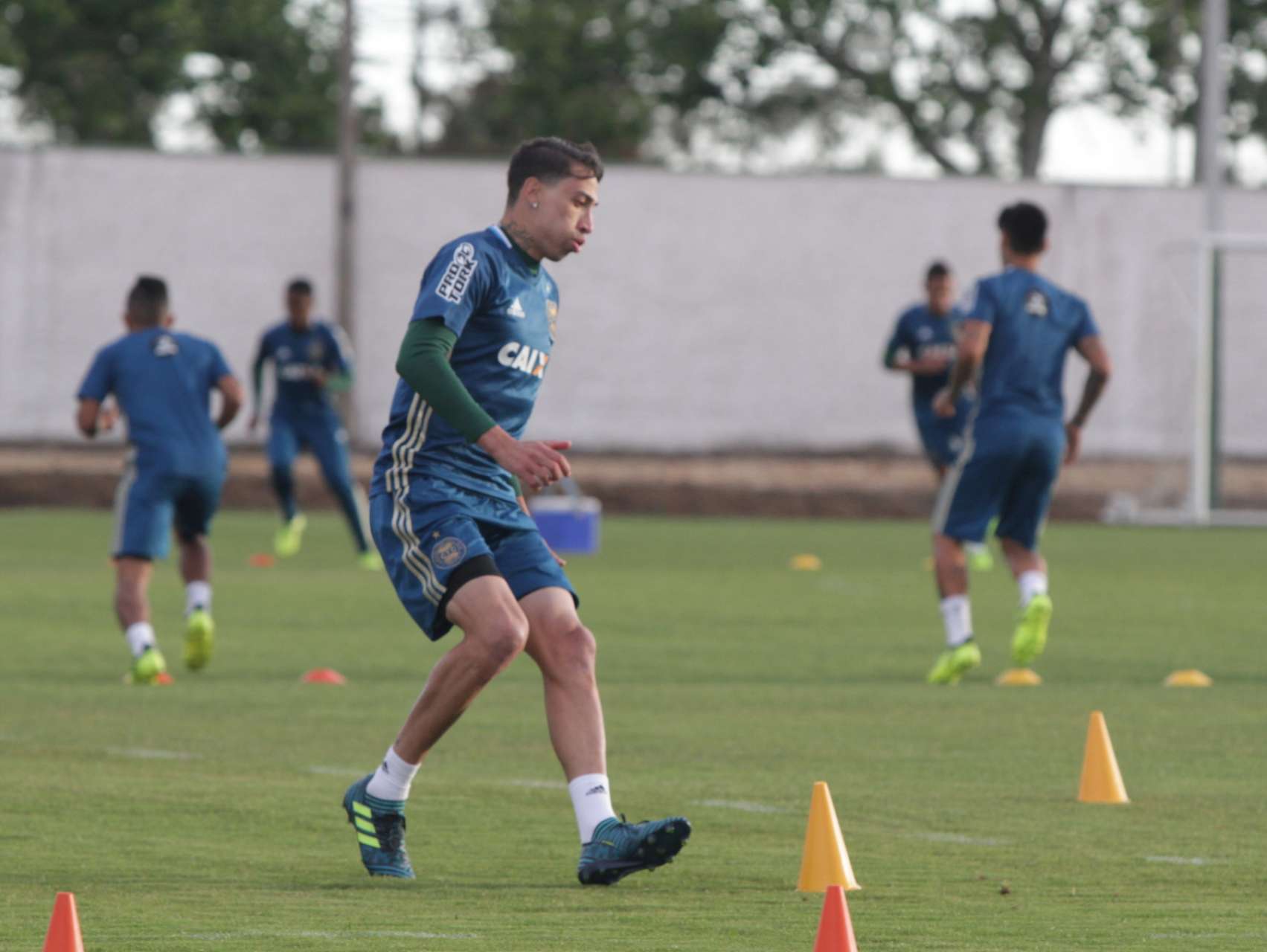 Reapresenta��o alviverde