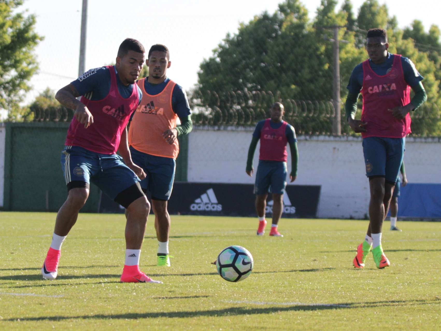 Confira a galeria do treino