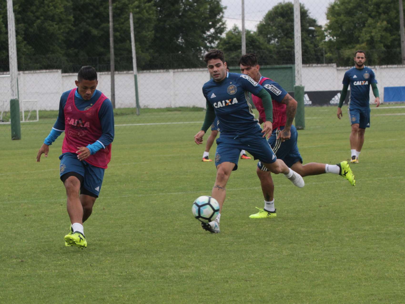 Galeria: Prepara��o coxa-branca