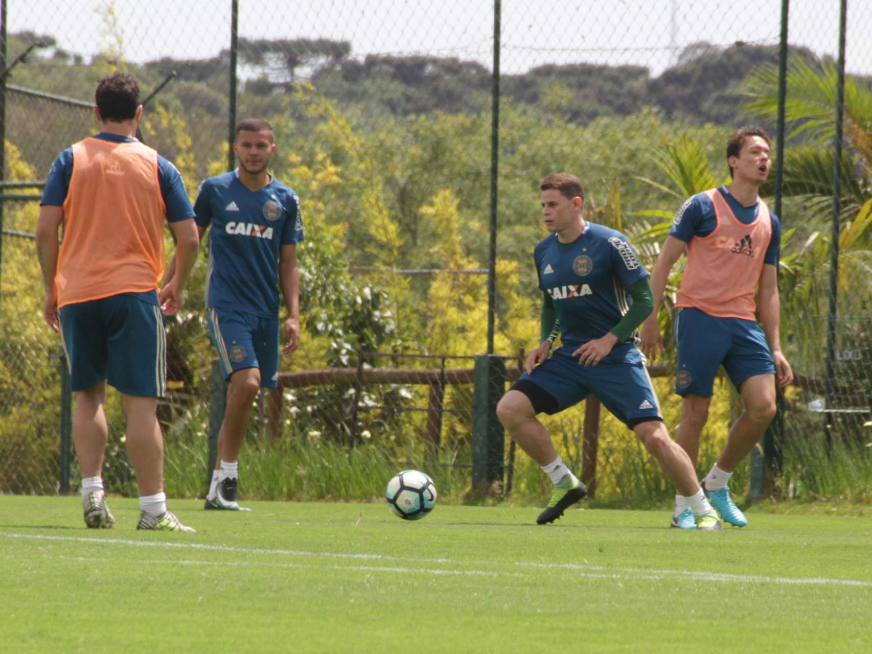 Galeria: preparado