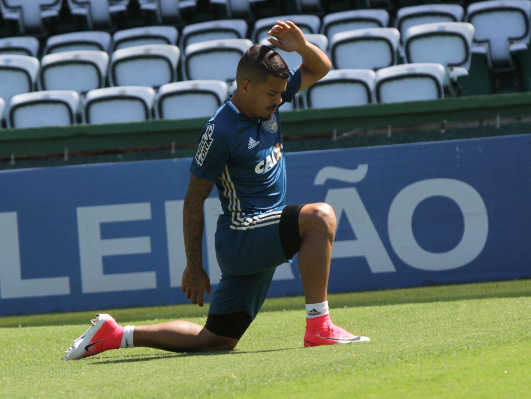 �Vamos doar sangue�