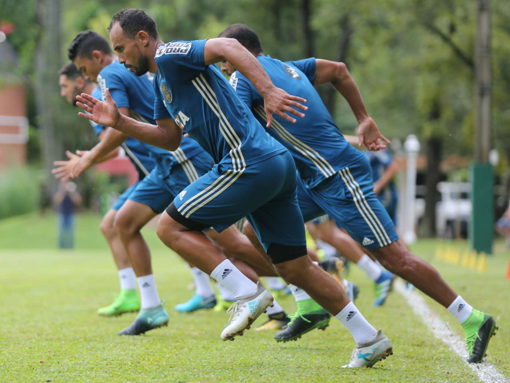 Galeria do treino da tarde 