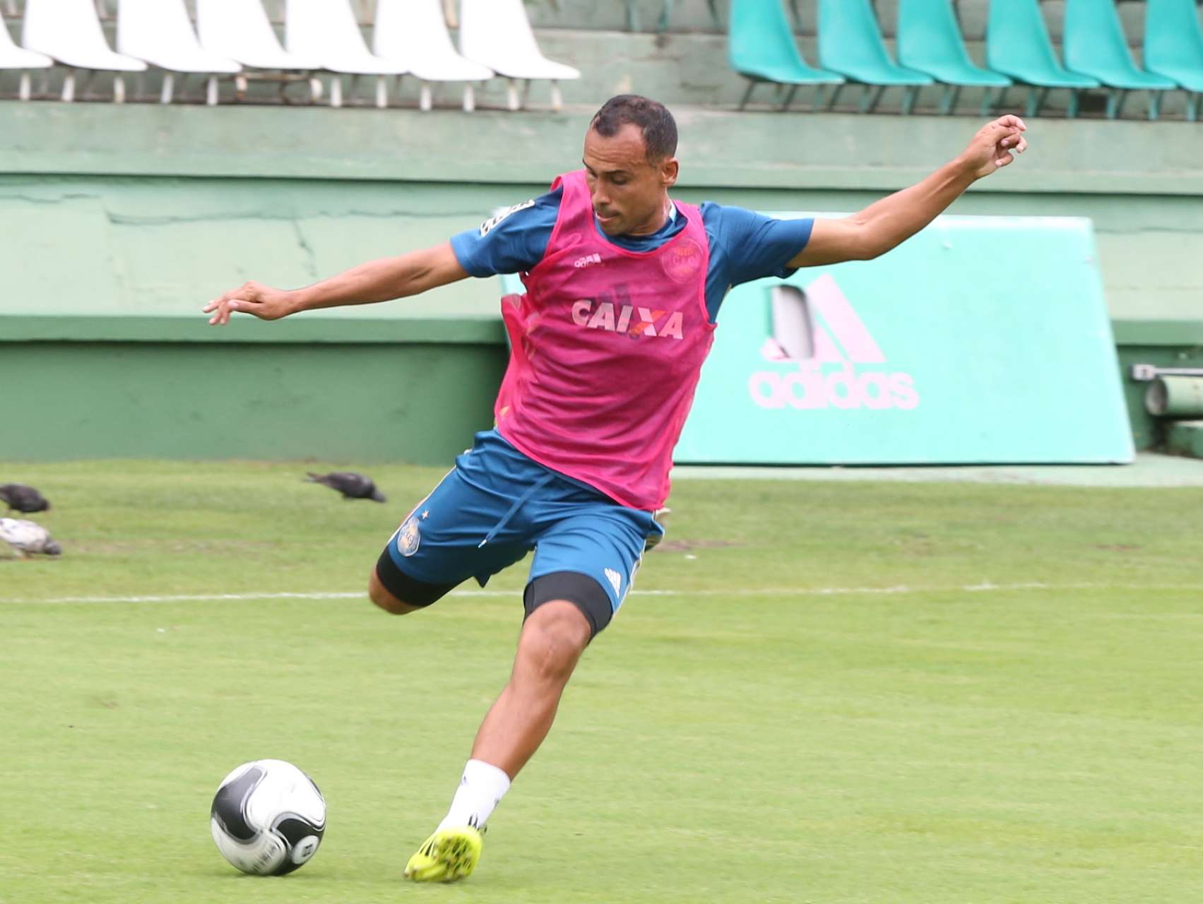 Galeria: treino no Couto