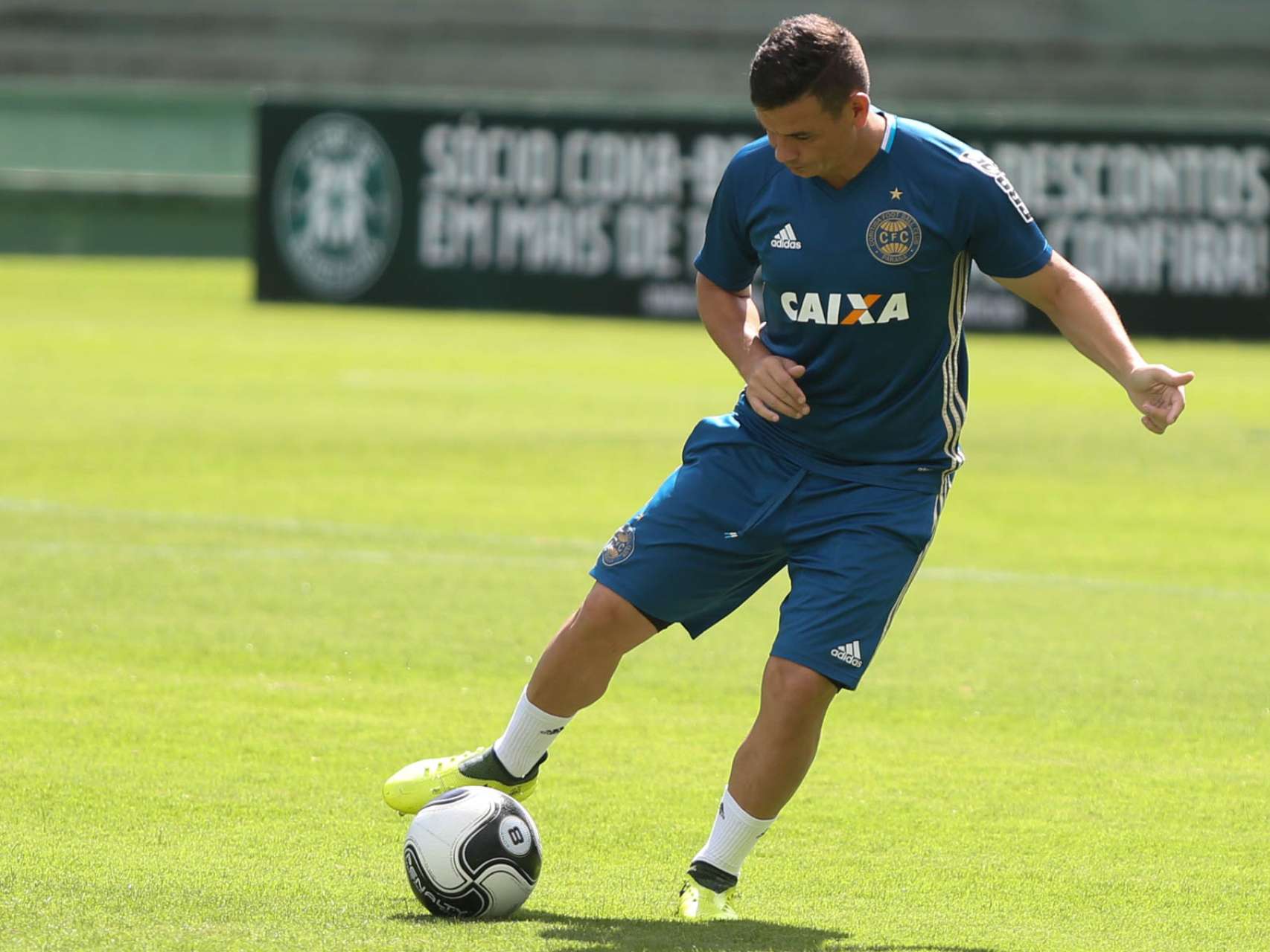 Segue o treino 