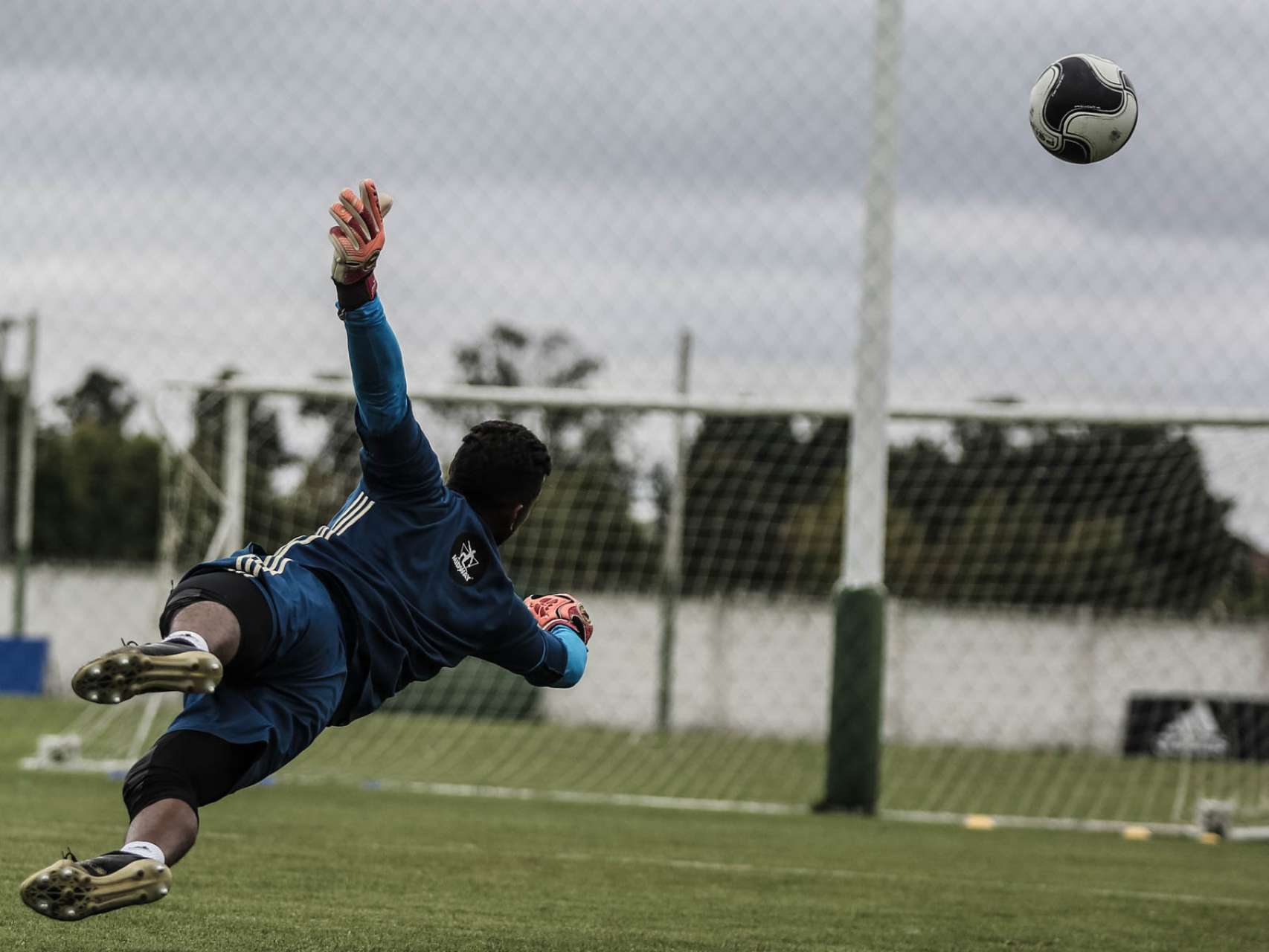 Galeria do treino 