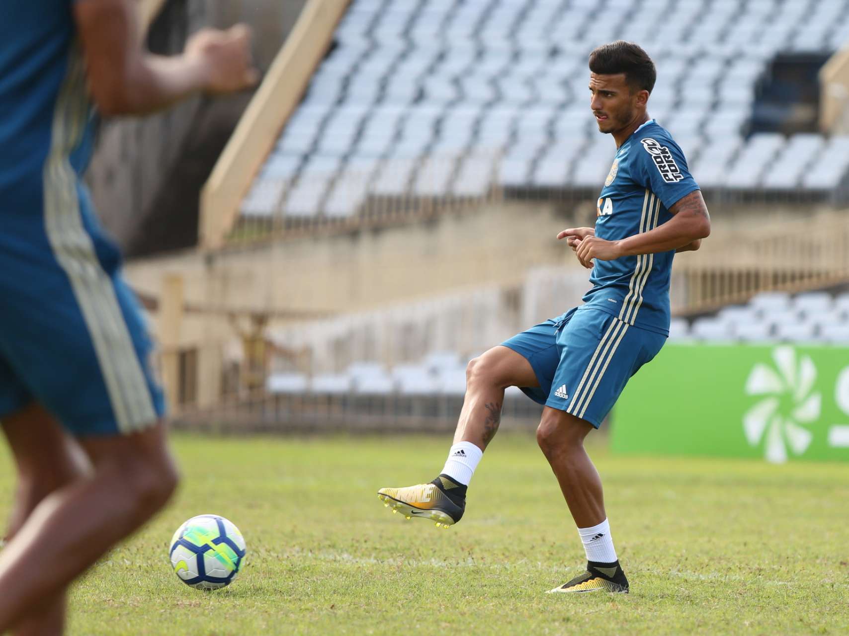 Coxa realiza atividade no est�dio 