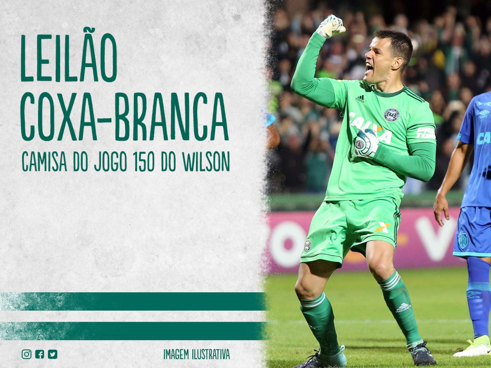 Participe do Leil�o Coxa-Branca