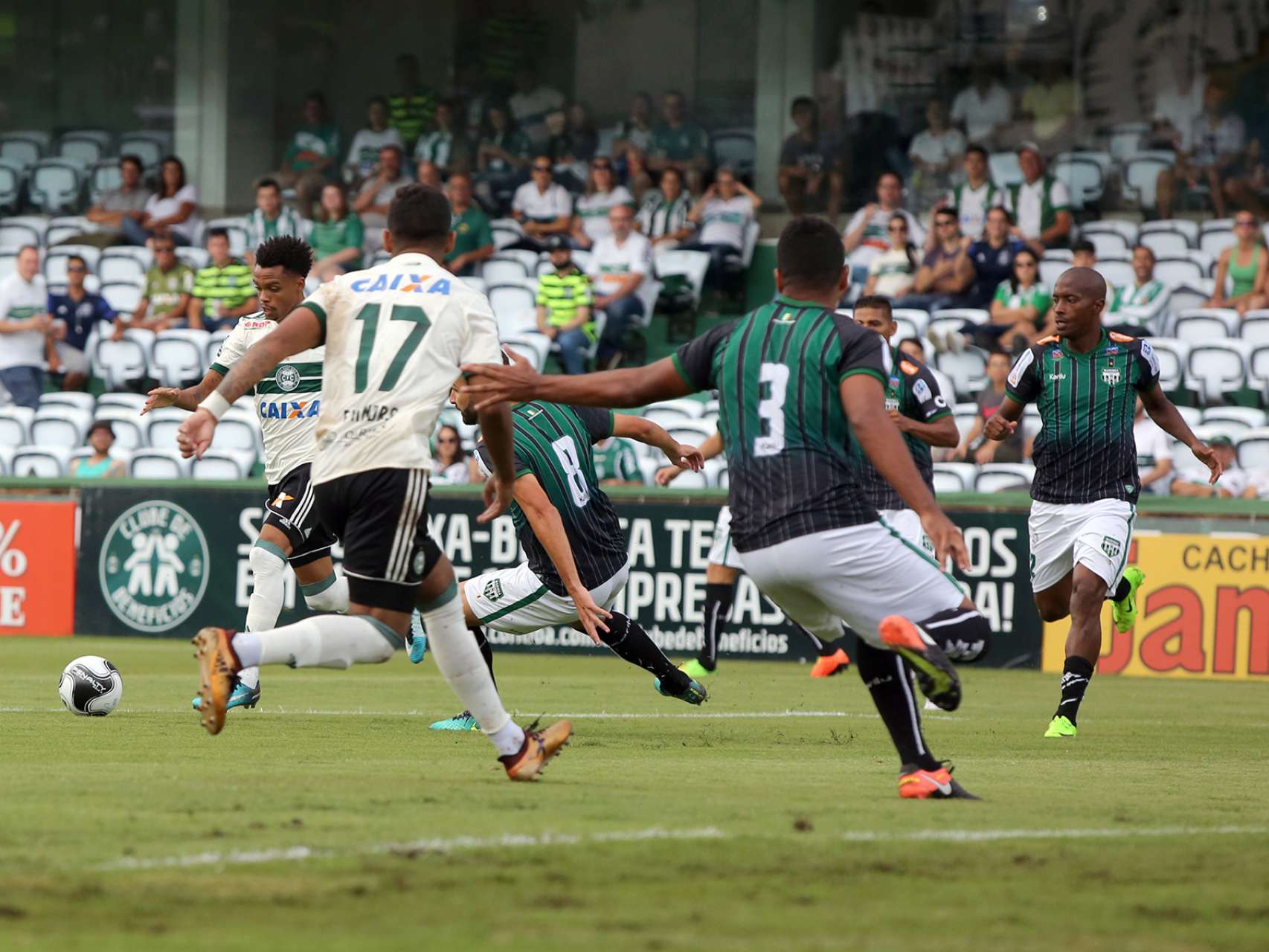 Galeria de foto